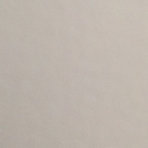 Meet your Posher, Leonardo